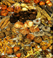 Assorted bulbs