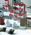 Amaryllis gift box