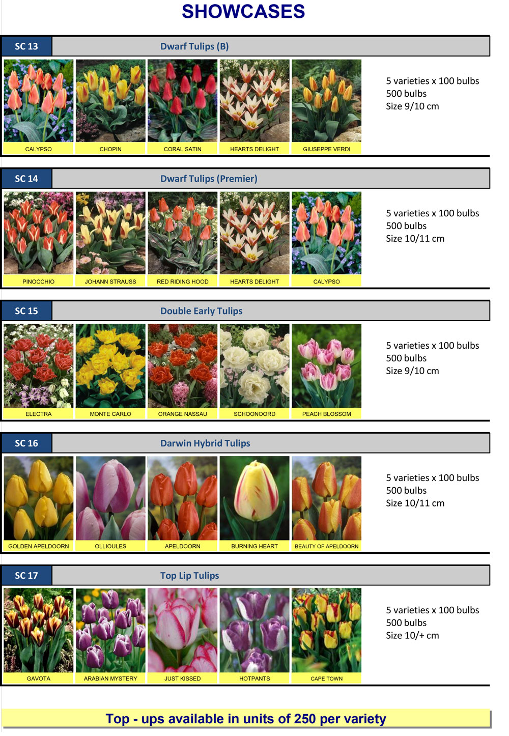 Eurogarden, SPALDING Wholesale Flower Bulbs, Perennials & Lilies
