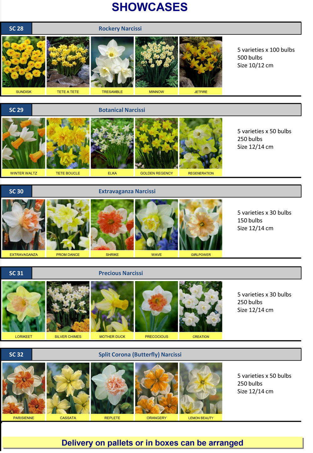 Eurogarden, SPALDING Wholesale Flower Bulbs, Perennials & Lilies