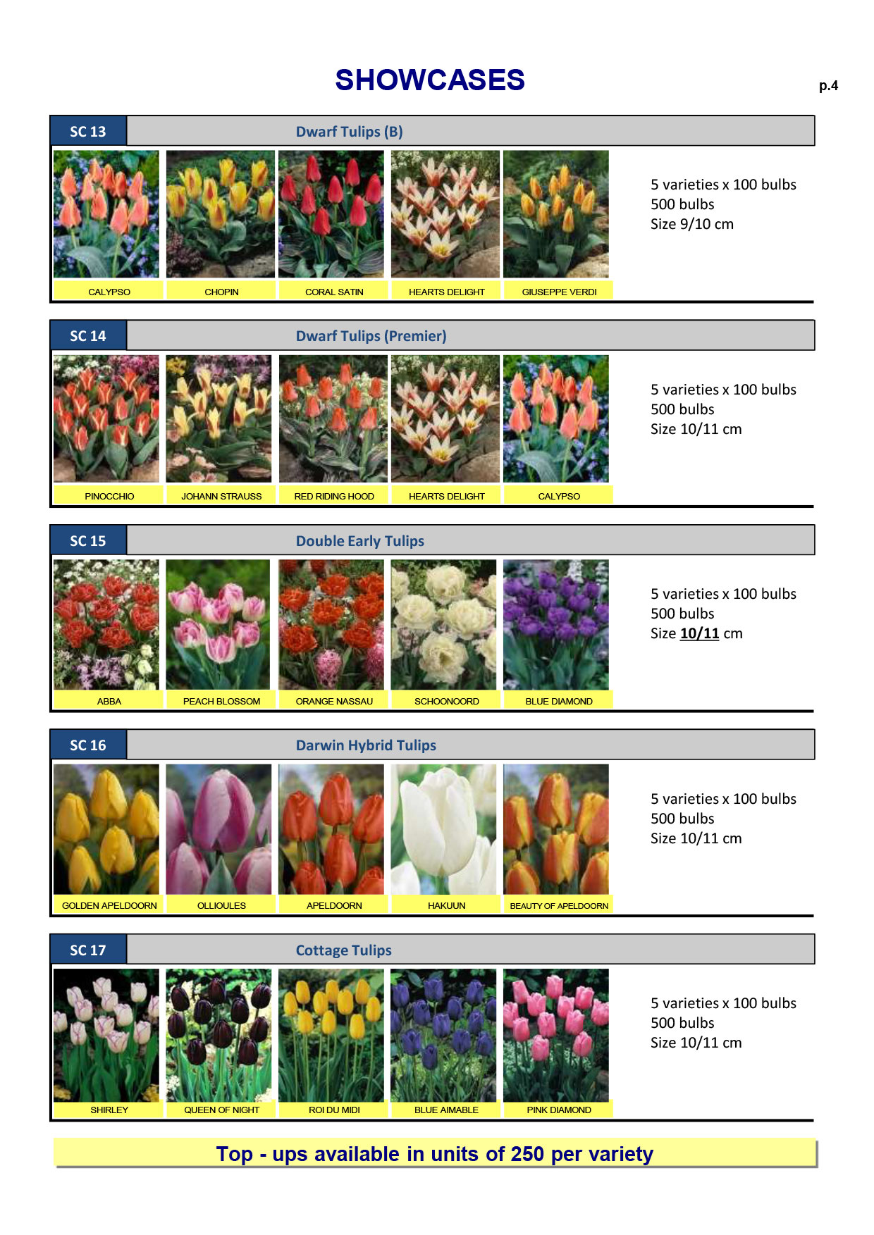 Summer Flowering Bulbs Spring Range
