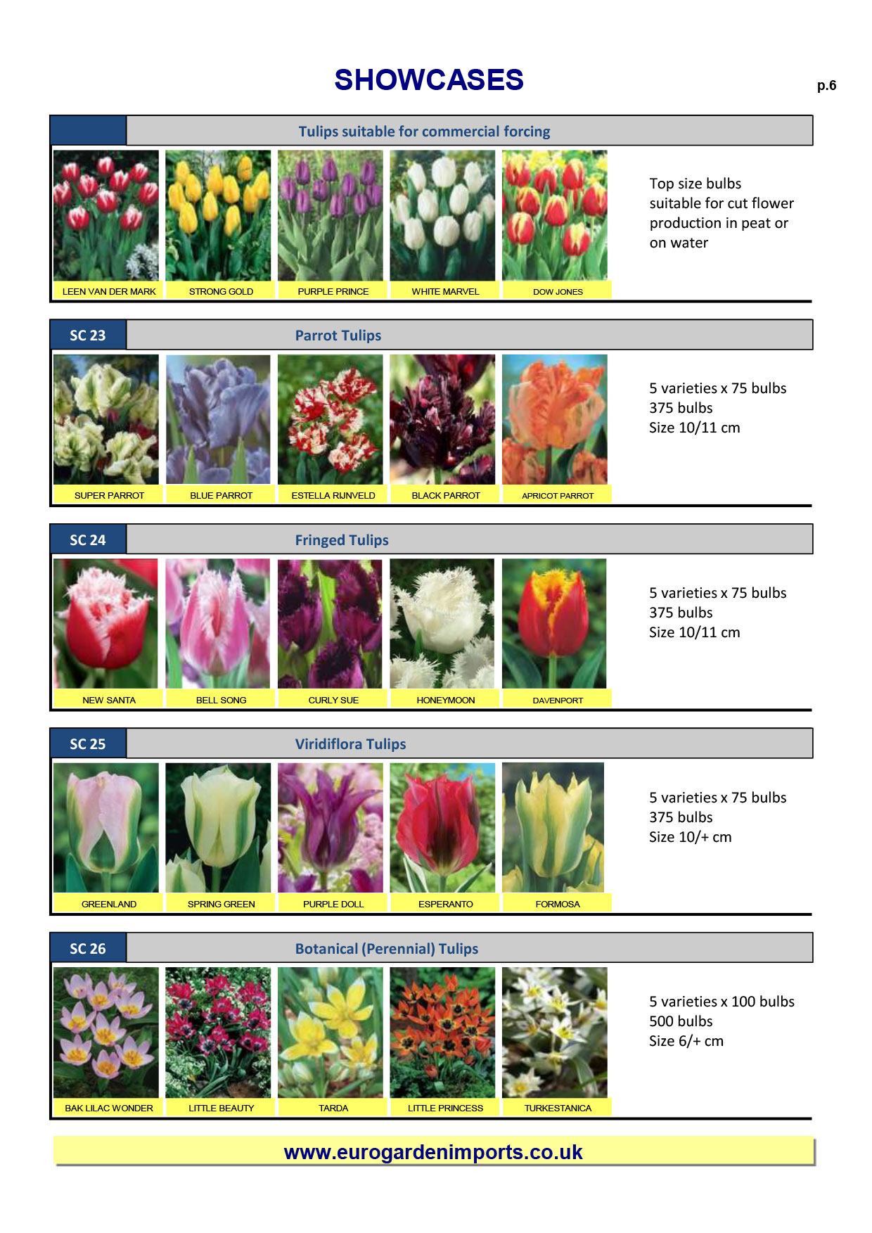 Wholesale Flower Bulbs, Potted Bulbs, Perennials & Lilies