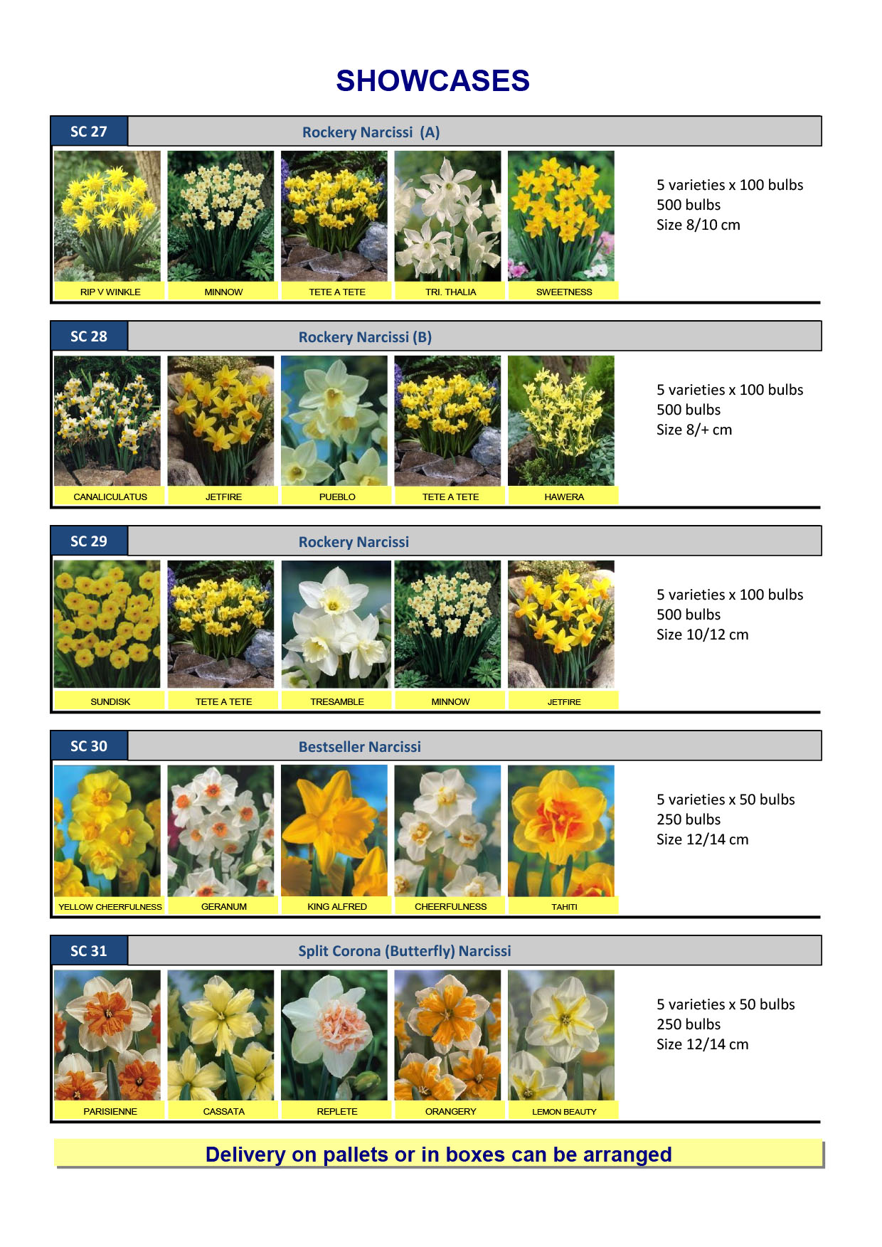 Wholesale Flower Bulbs, Potted Bulbs, Perennials & Lilies