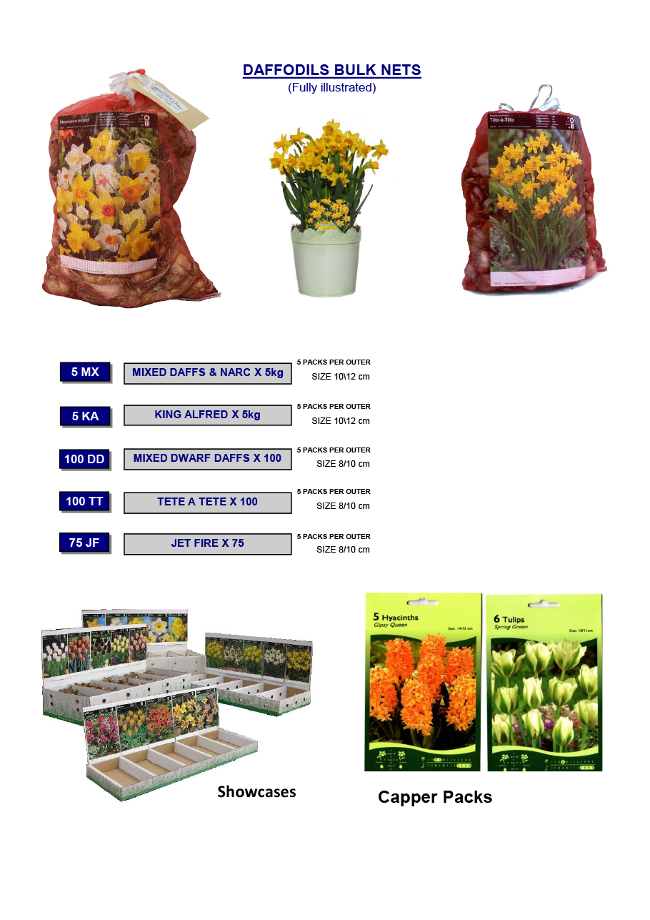 Wholesale Flower Bulbs, Potted Bulbs, Perennials & Lilies