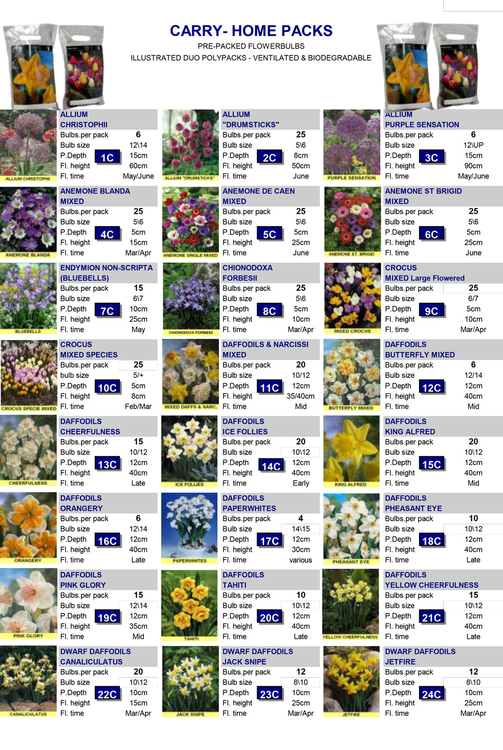 Eurogarden, SPALDING Wholesale Flower Bulbs, Perennials & Lilies
