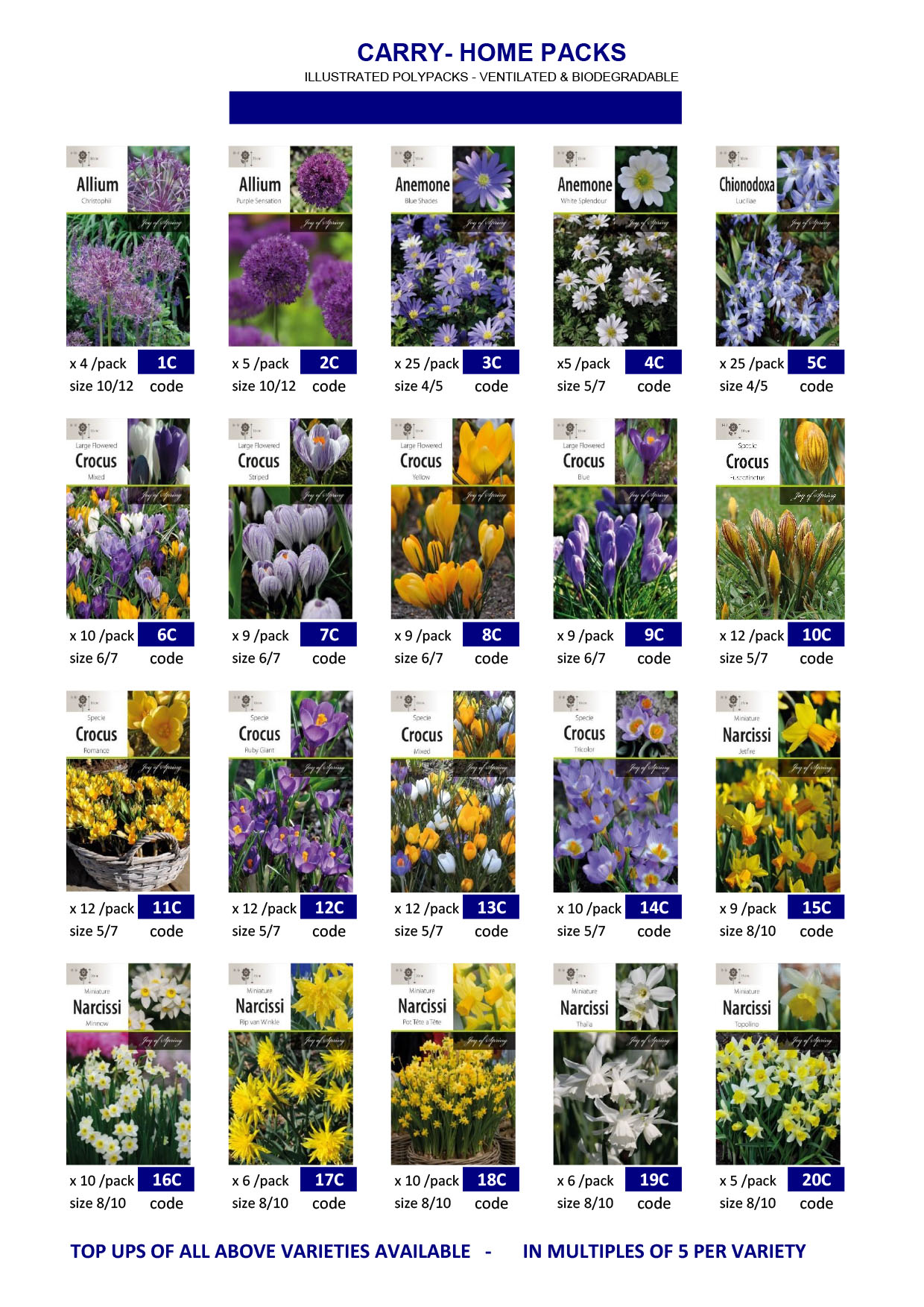 Wholesale Flower Bulbs, Potted Bulbs, Perennials & Lilies