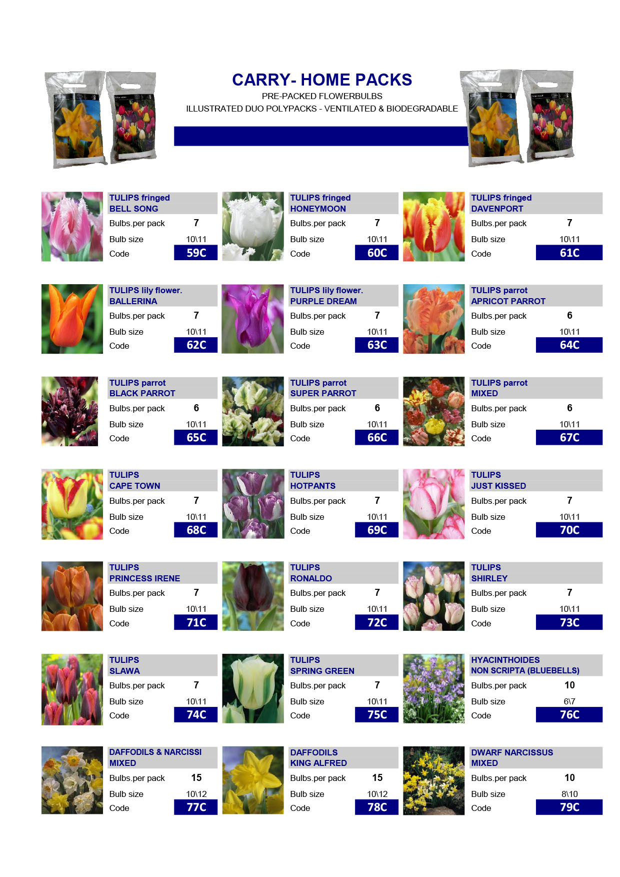 Wholesale Flower Bulbs, Potted Bulbs, Perennials & Lilies