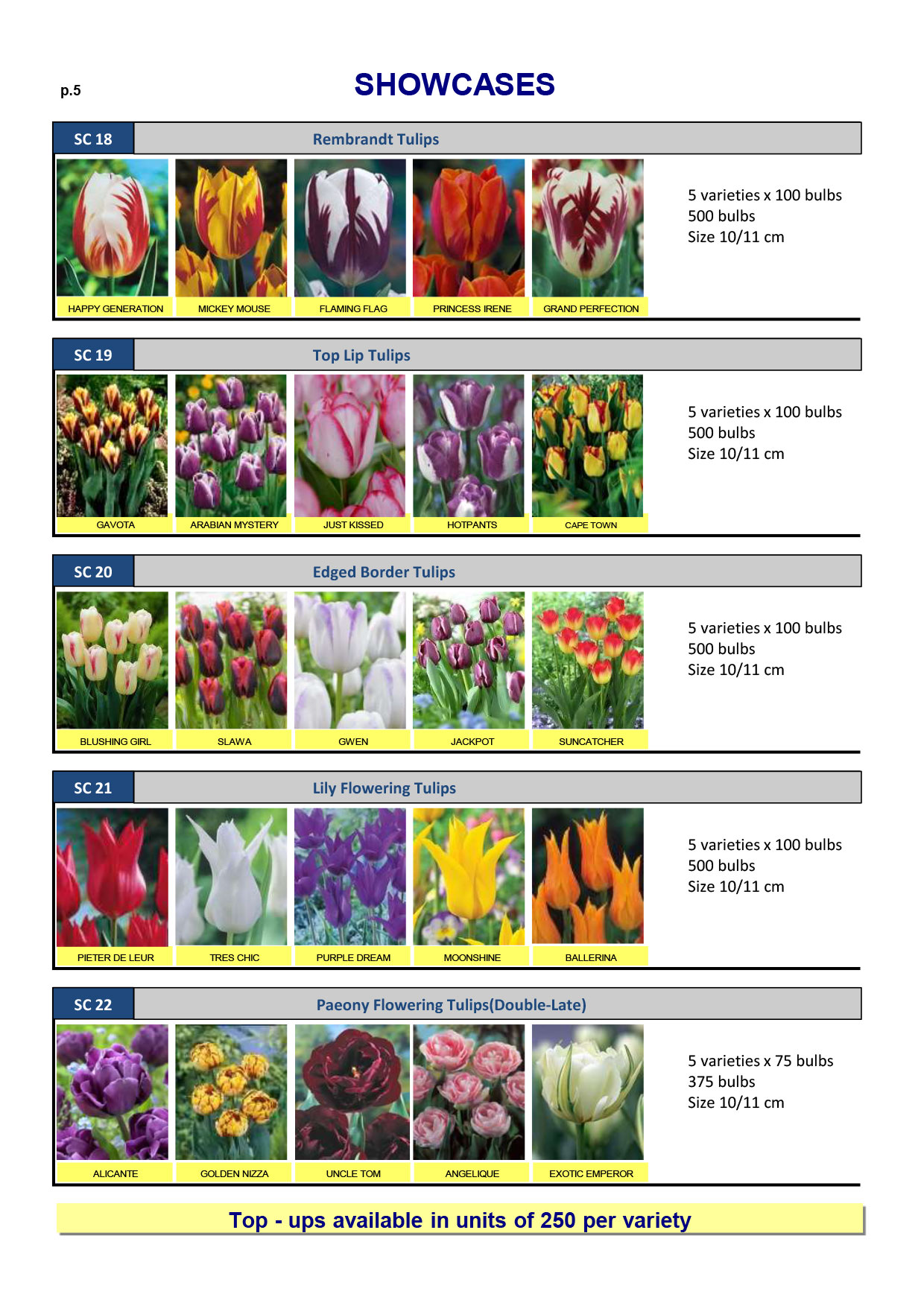 Wholesale Flower Bulbs, Potted Bulbs, Perennials & Lilies