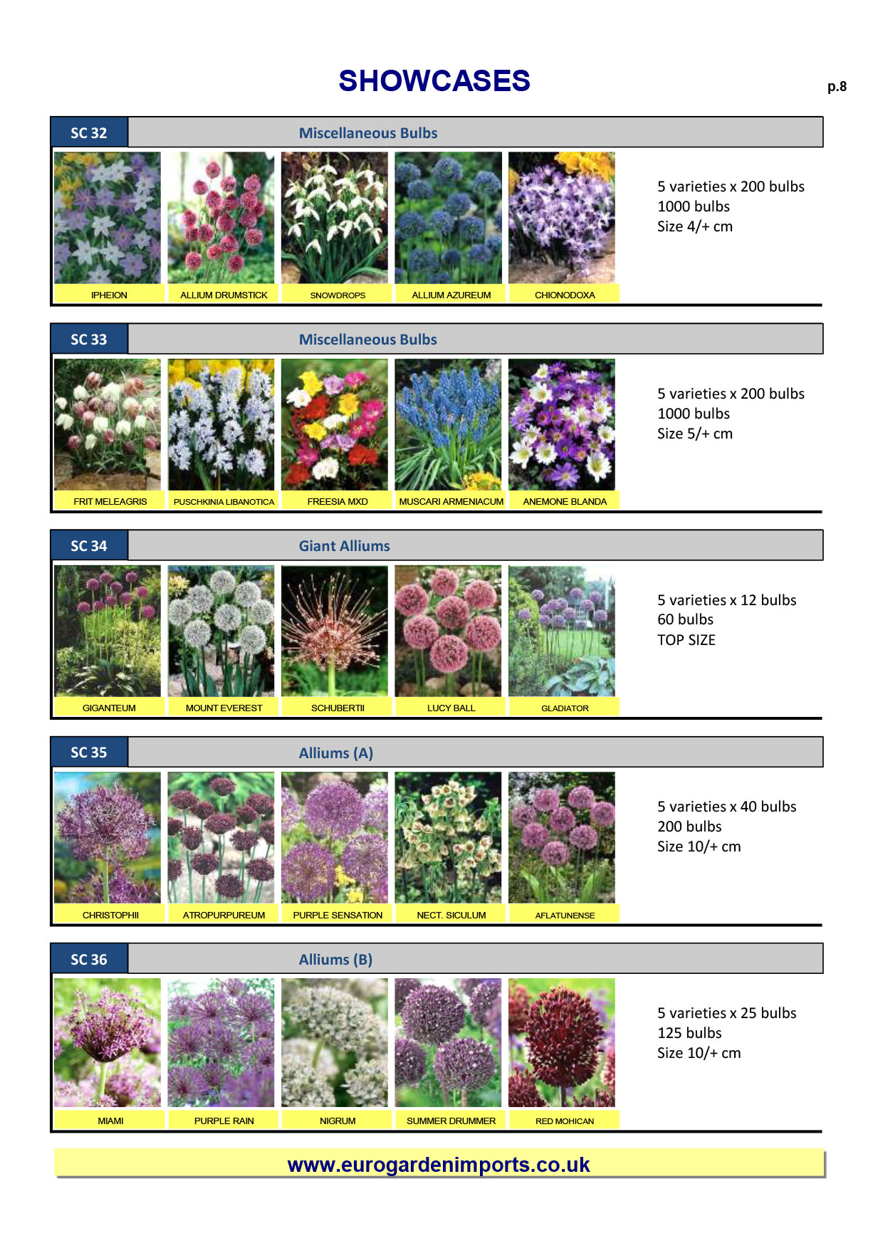 Wholesale Flower Bulbs, Potted Bulbs, Perennials & Lilies