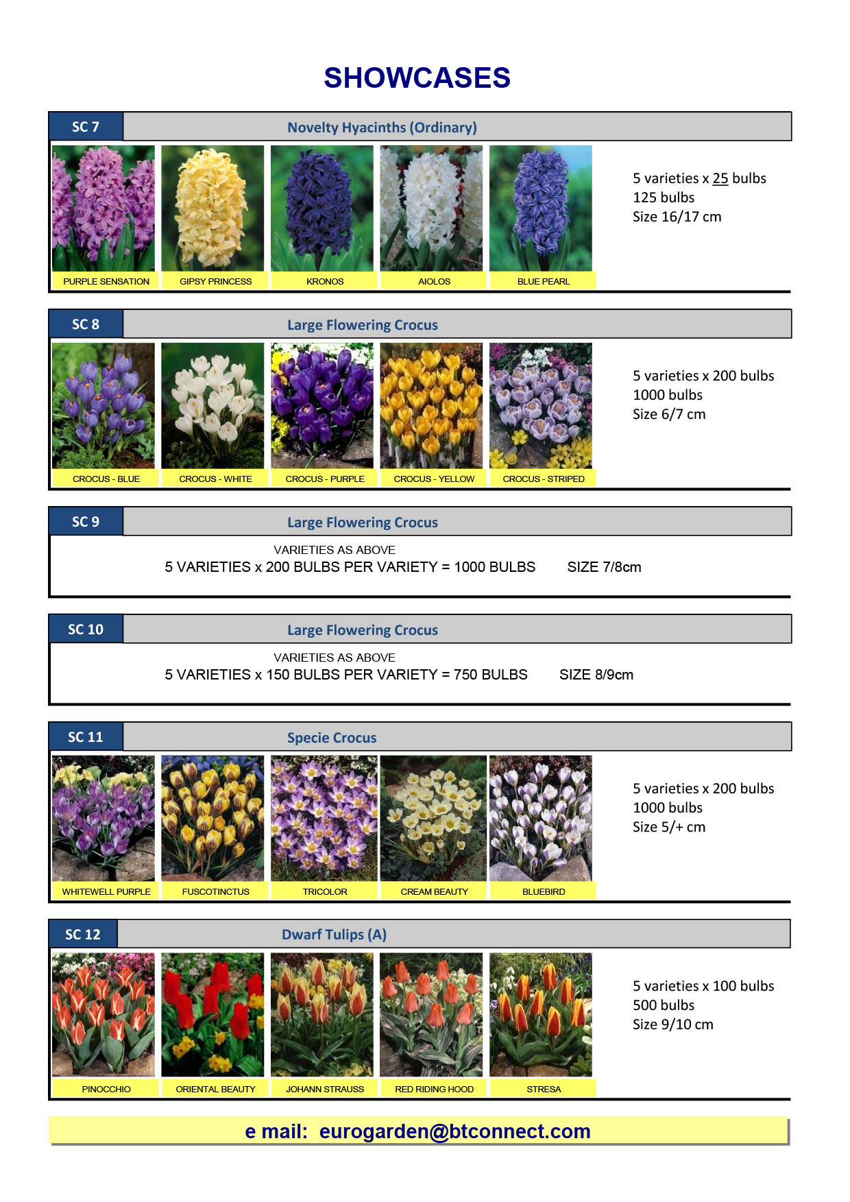Wholesale Flower Bulbs, Potted Bulbs, Perennials & Lilies