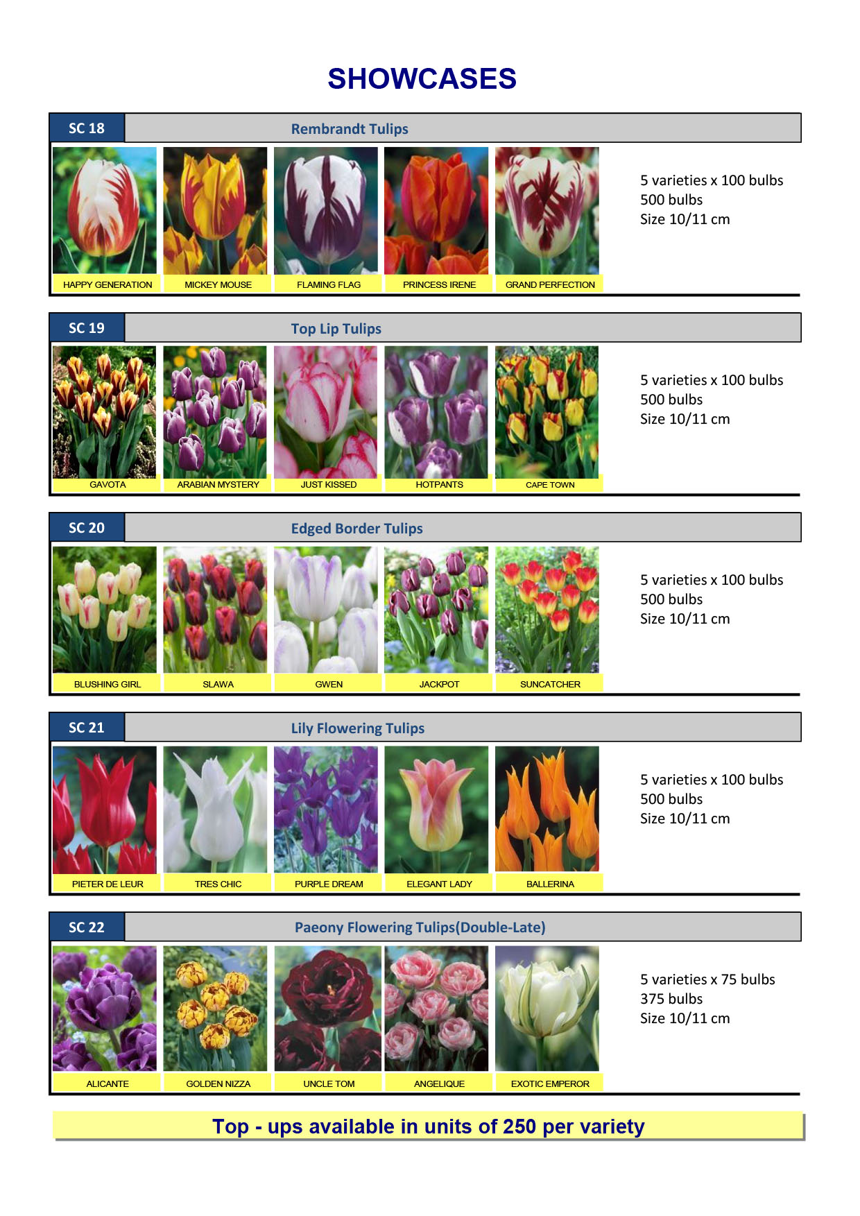Wholesale Flower Bulbs, Potted Bulbs, Perennials & Lilies