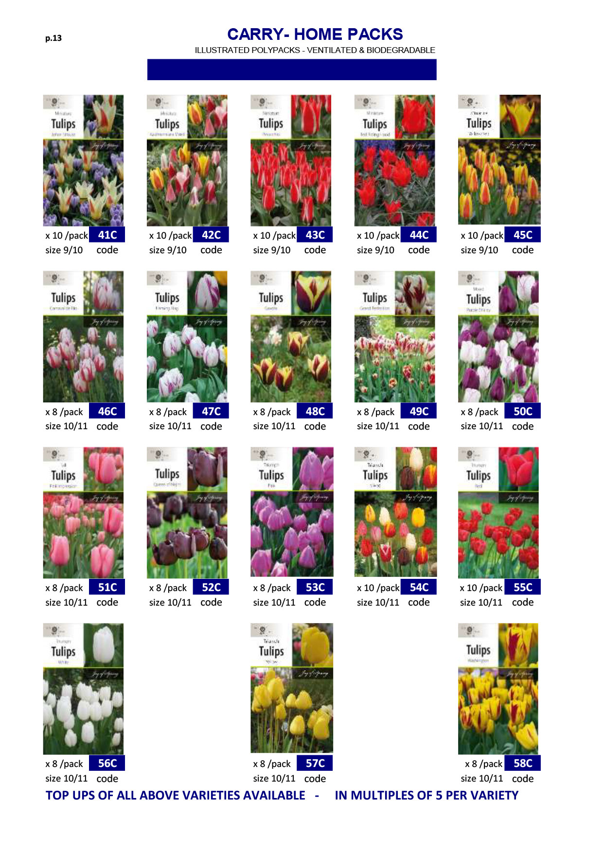 Summer Flowering Bulbs Spring Range